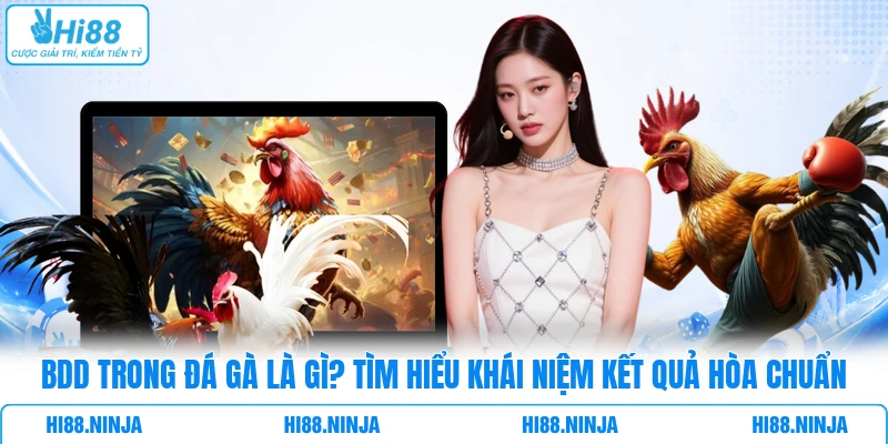 BDD Trong Đá Gà Là Gì? Tìm Hiểu Khái Niệm Kết Quả Hòa Chuẩn