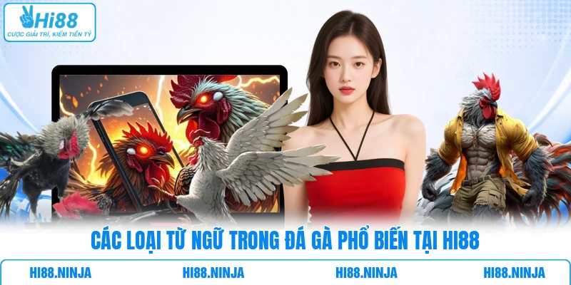 Các loại từ ngữ trong đá gà phổ biến tại Hi88