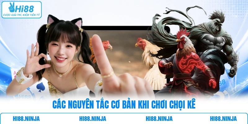 Các nguyên tắc cơ bản khi chơi chọi kê