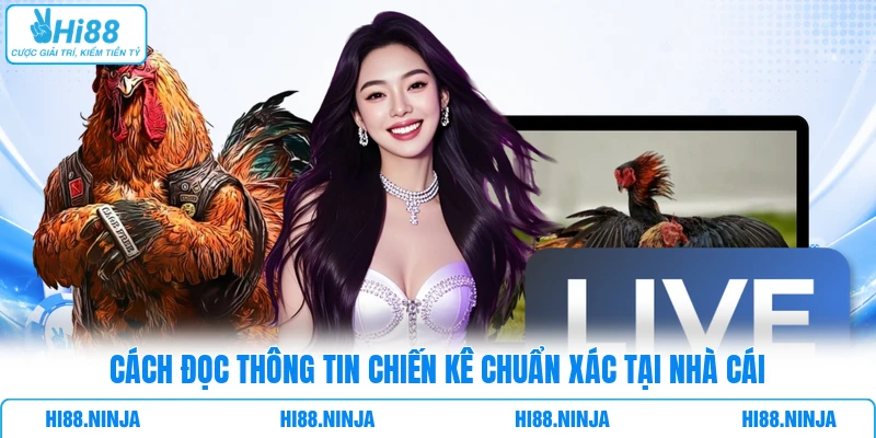 Cách đọc thông tin chiến kê chuẩn xác tại nhà cái