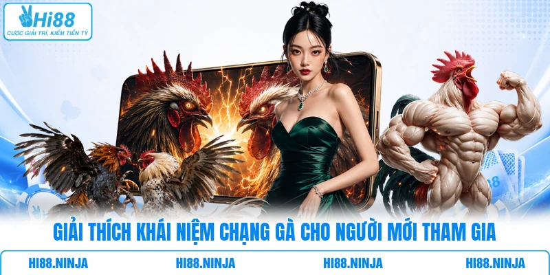Giải thích khái niệm chạng gà cho người mới tham gia