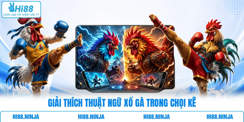 Giải thích thuật ngữ xổ gà trong chọi kê