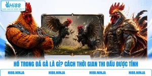 Hồ Trong Đá Gà Là Gì? Cách Thời Gian Thi Đấu Được Tính
