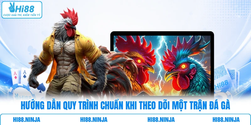 Hướng dẫn quy trình chuẩn khi theo dõi một trận đá gà