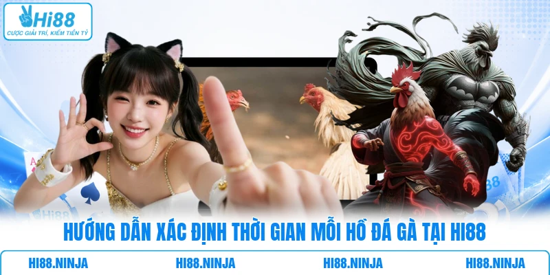 Hướng dẫn xác định thời gian mỗi hồ đá gà tại Hi88