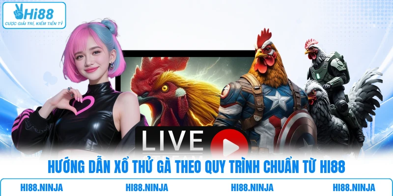 Hướng dẫn xổ thử gà theo quy trình chuẩn từ Hi88