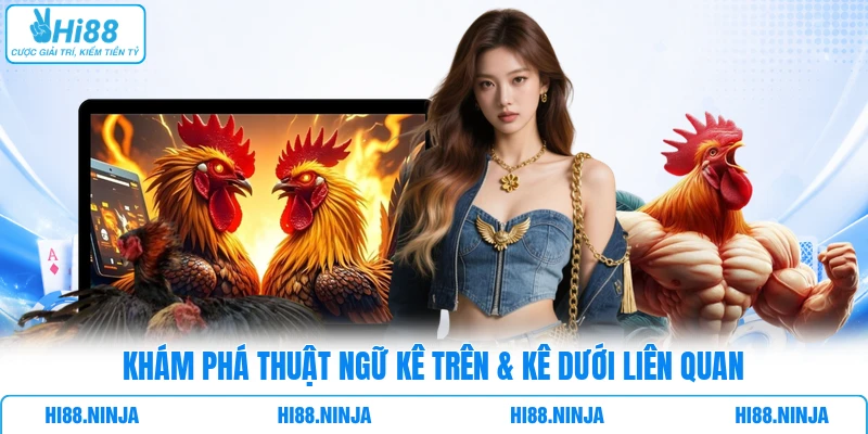 Khám phá thuật ngữ kê trên & kê dưới liên quan