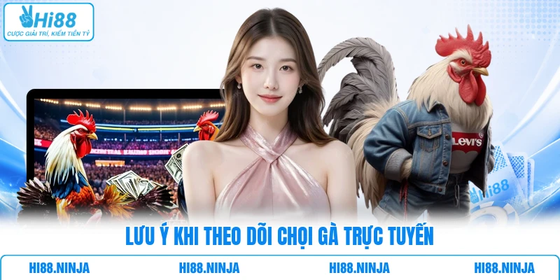 Lưu ý khi theo dõi chọi gà trực tuyến