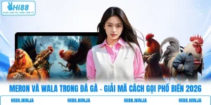 Meron Và Wala Trong Đá Gà - Giải Mã Cách Gọi Phổ Biến 2026