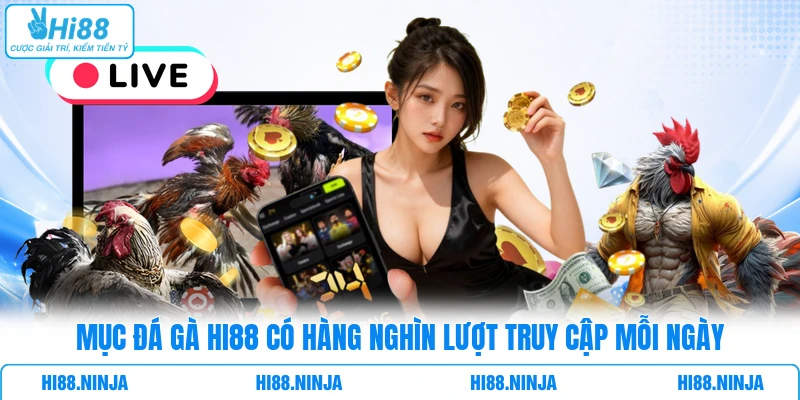Mục Đá Gà HI88 có hàng nghìn lượt truy cập mỗi ngày