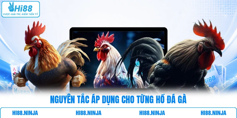 Nguyên tắc áp dụng cho từng hồ đá gà