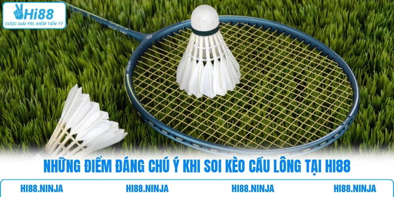 Những điểm đáng chú ý khi soi kèo cầu lông tại Hi88