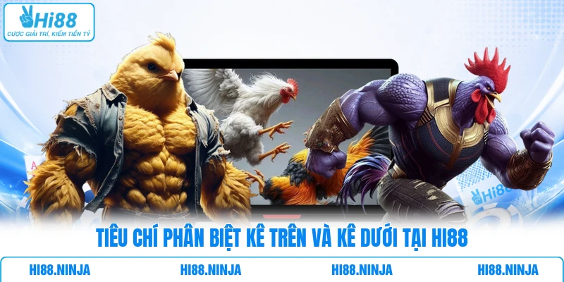 Tiêu chí phân biệt kê trên và kê dưới tại HI88