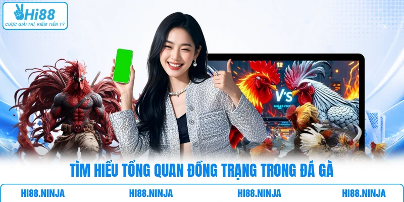 Tìm hiểu tổng quan đồng trạng trong đá gà