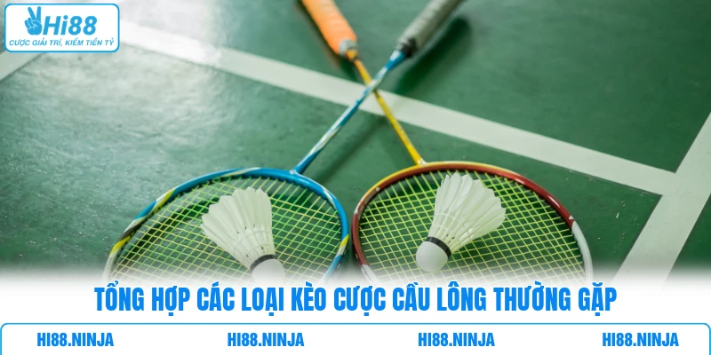 Tổng hợp các loại kèo cược cầu lông thường gặp