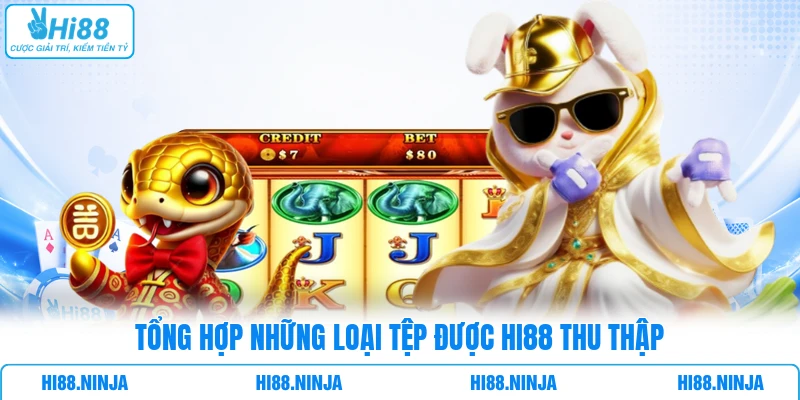 Tổng hợp những loại tệp được HI88 thu thập