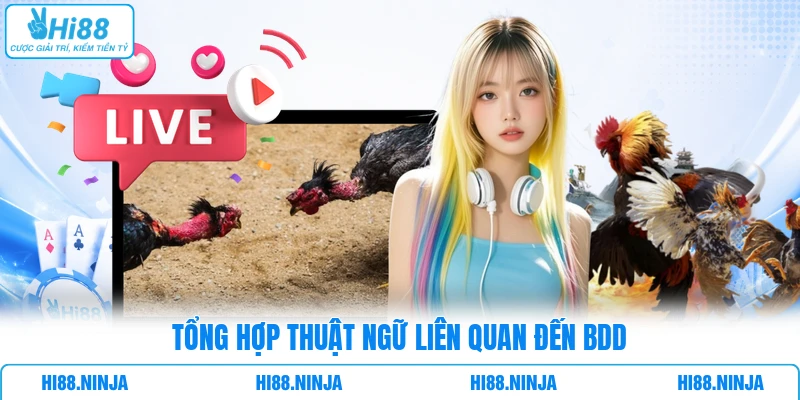 Tổng hợp thuật ngữ liên quan đến BDD