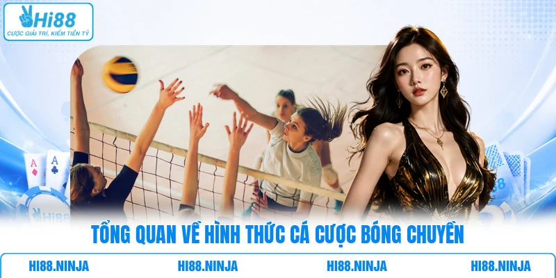 Khám phá hình thức cá cược bóng chuyền tại sân cược